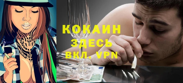 прущие грибы Магас